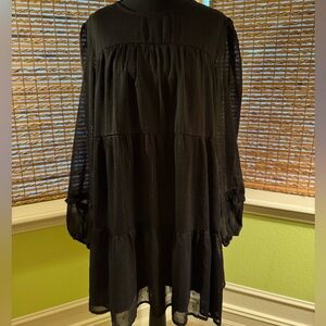 Elegant Black Sheer Dress